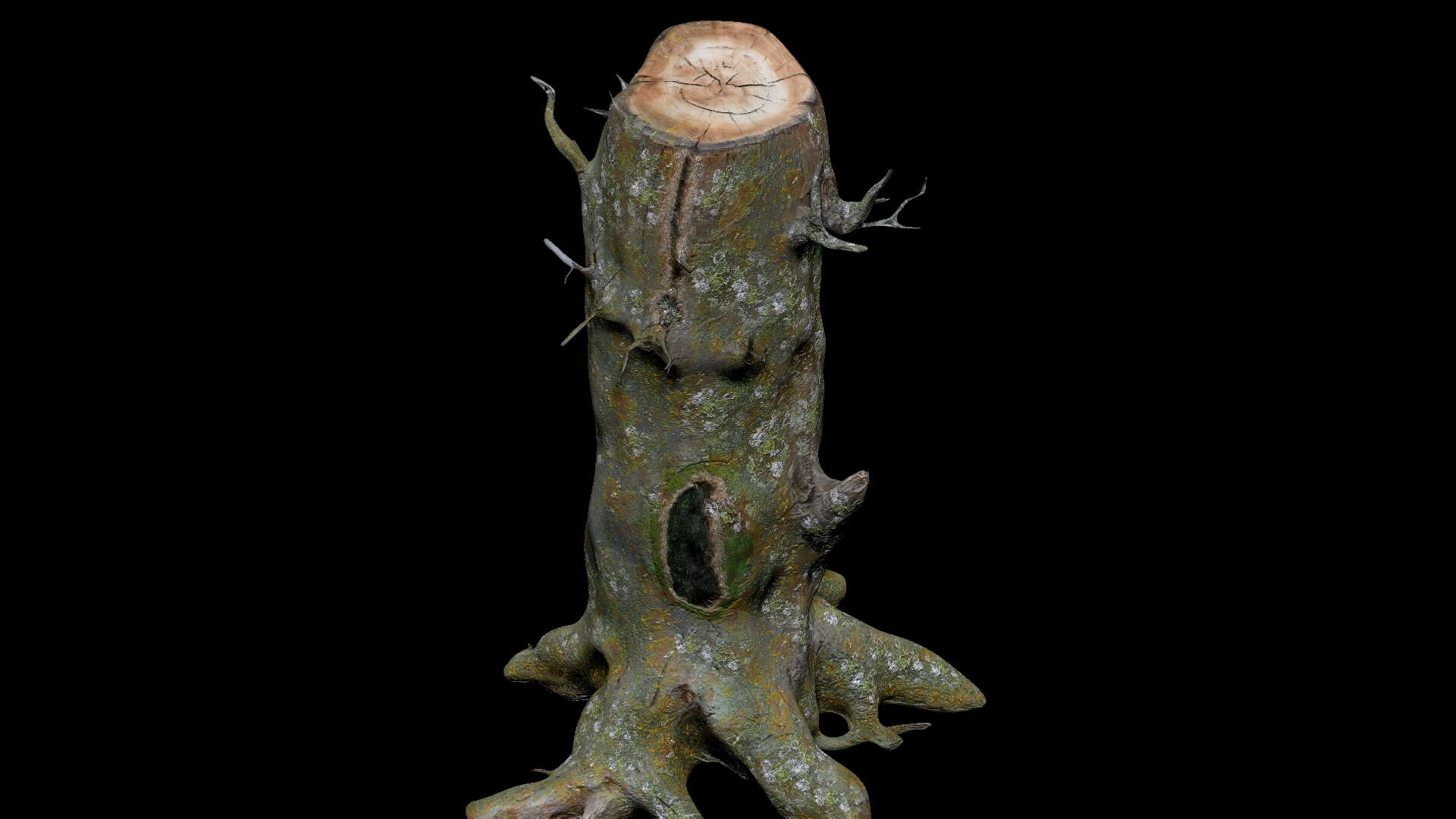 Dead Moss Tree Stump V2 - 3D Model by Phile Rain