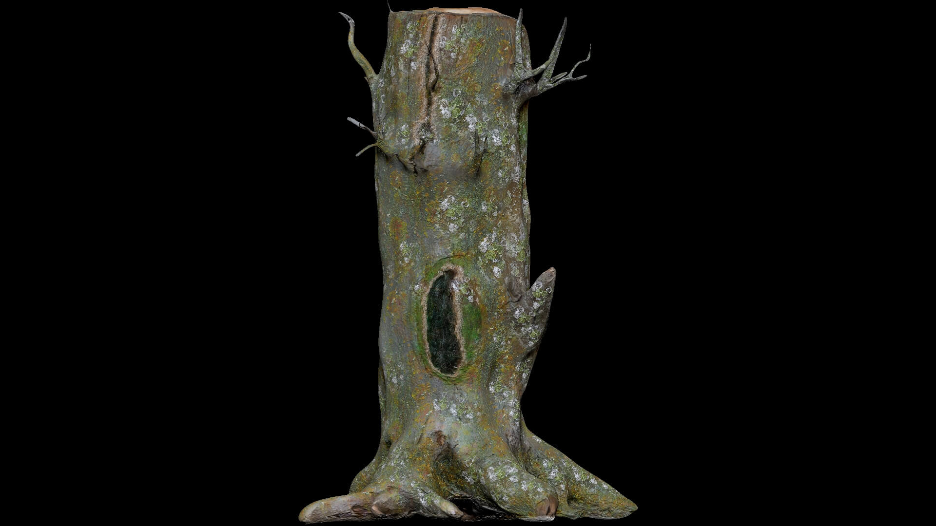 Dead Moss Tree Stump V2 - 3D Model by Phile Rain