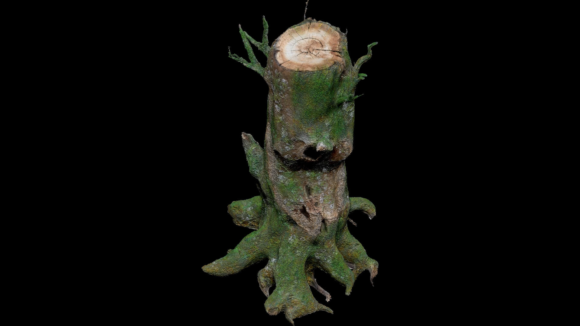 Dead Moss Tree Stump V2 - 3D Model by Phile Rain