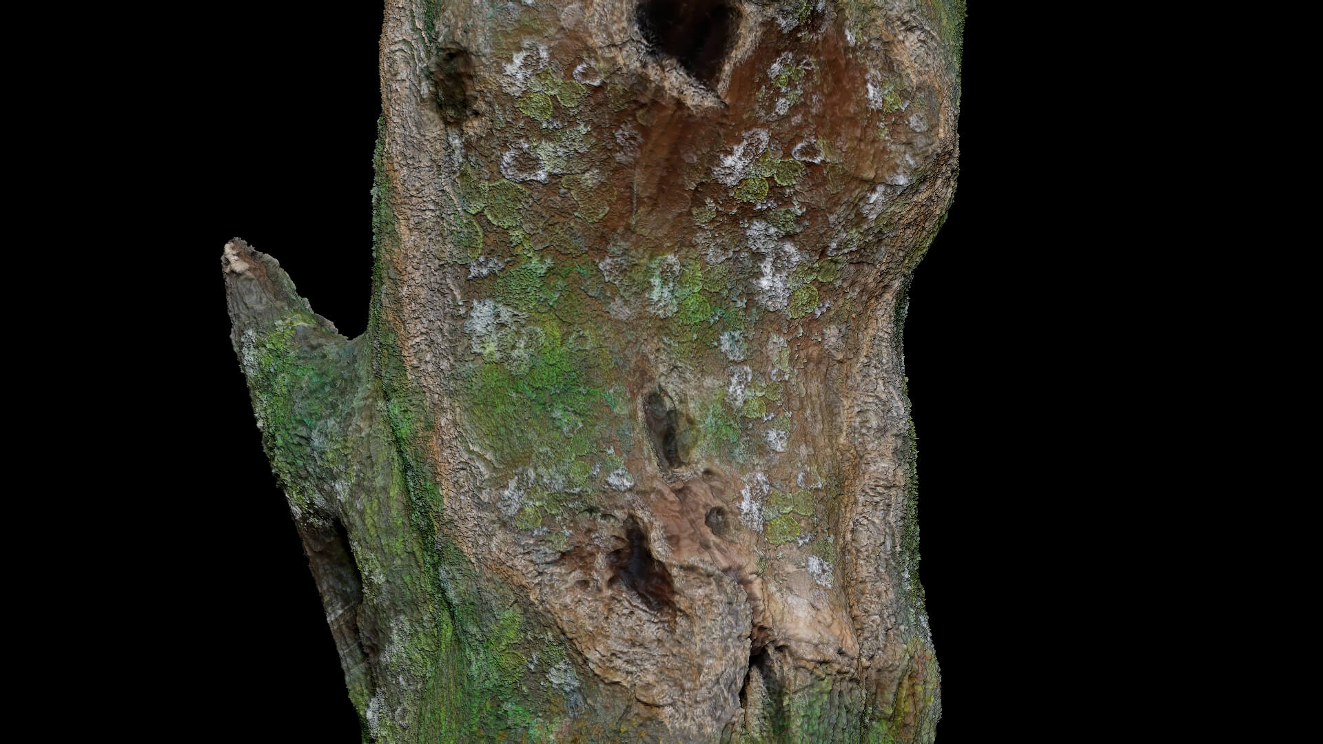 Dead Moss Tree Stump V2 - 3D Model by Phile Rain