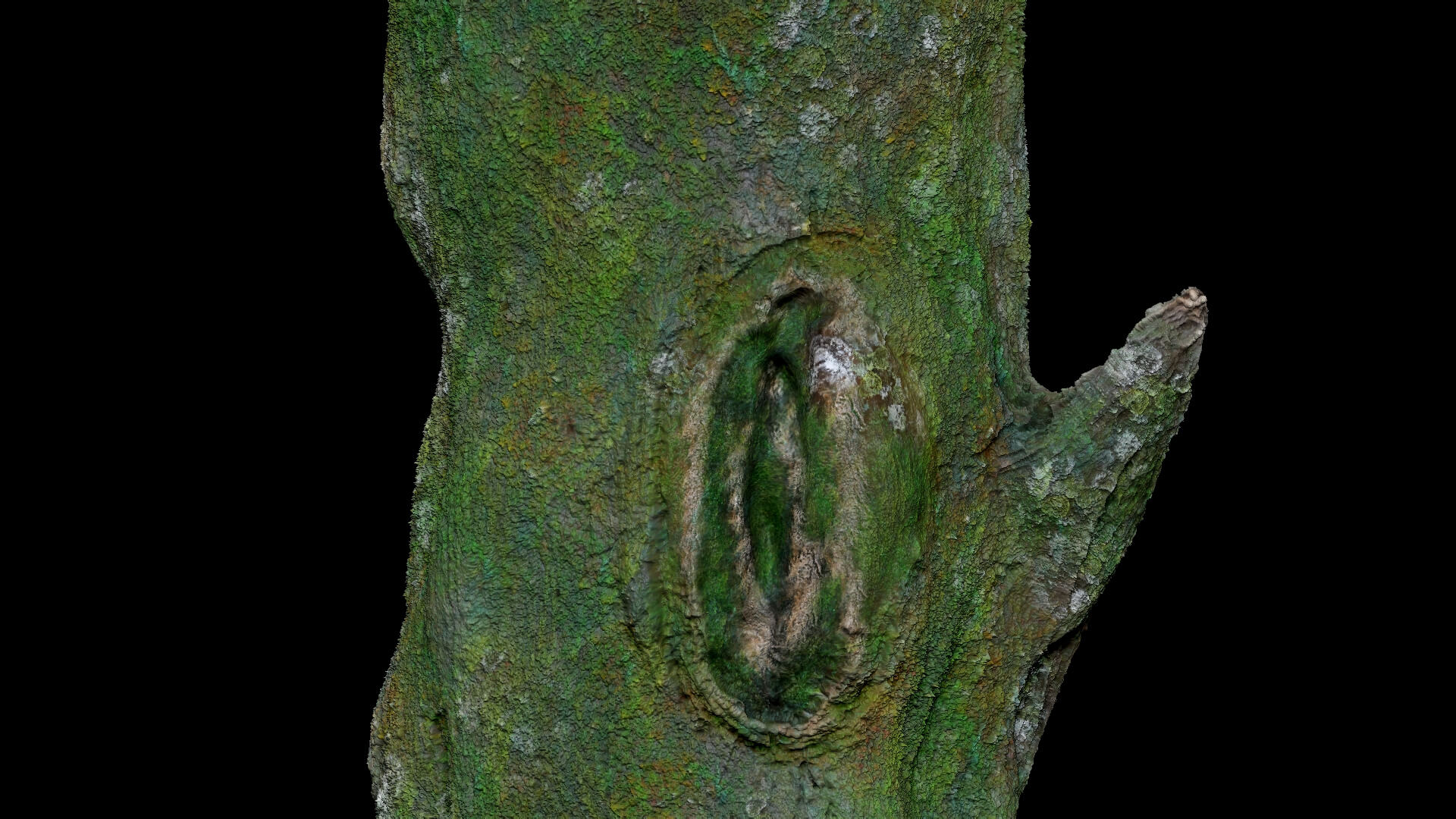 Dead Moss Tree Stump V2 - 3D Model by Phile Rain