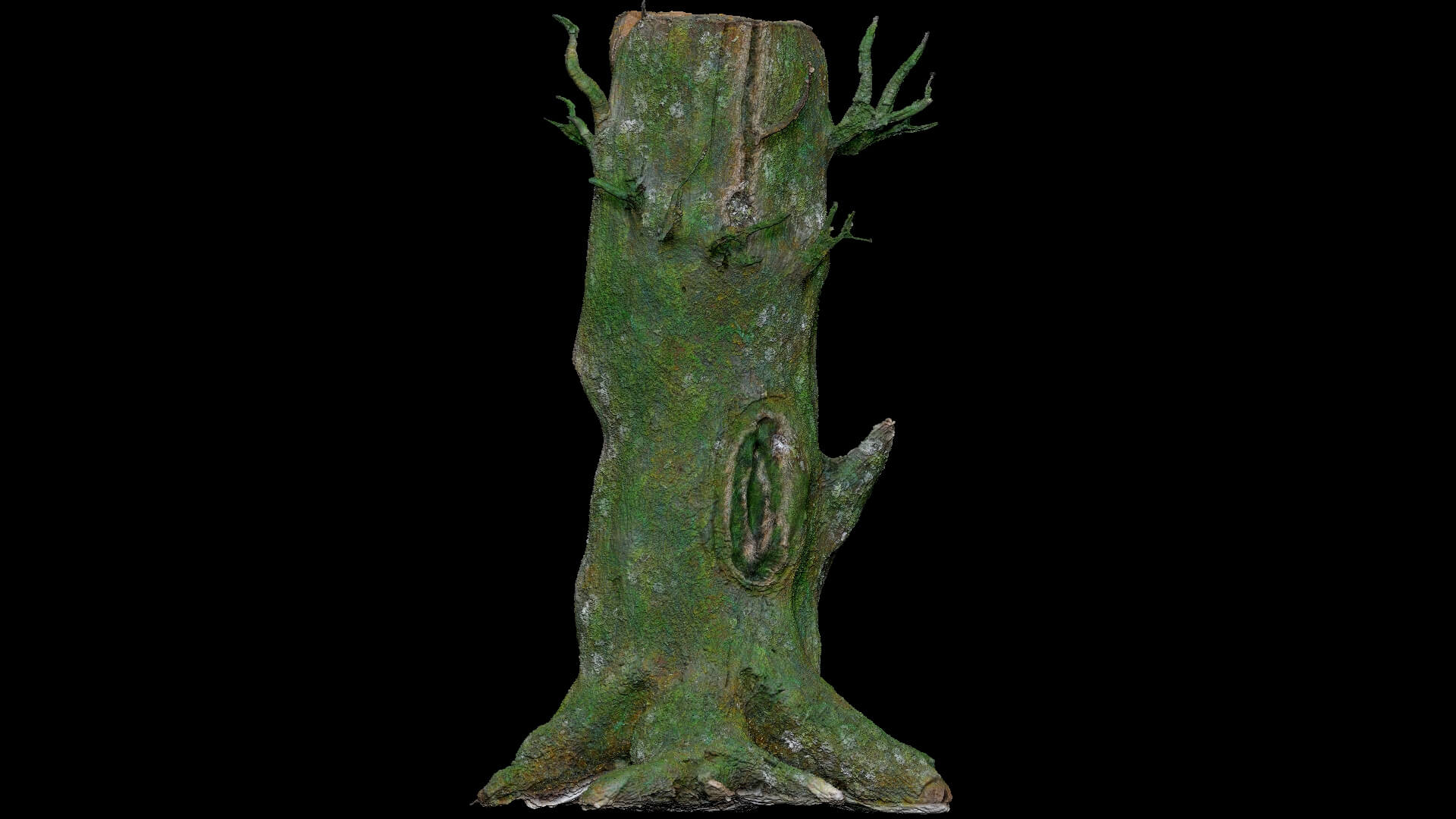 Dead Moss Tree Stump V2 - 3D Model by Phile Rain