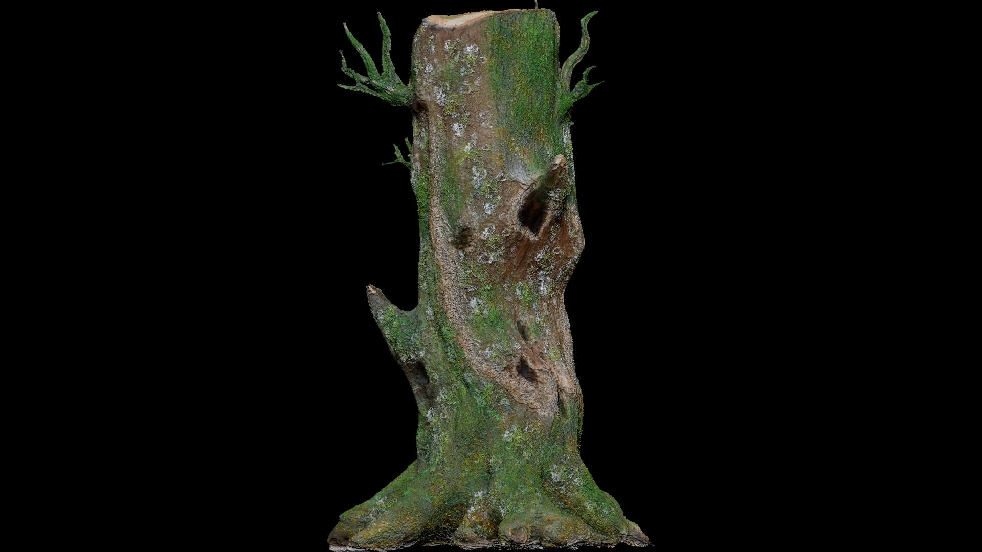 Dead Moss Tree Stump V2 - 3D Model by Phile Rain