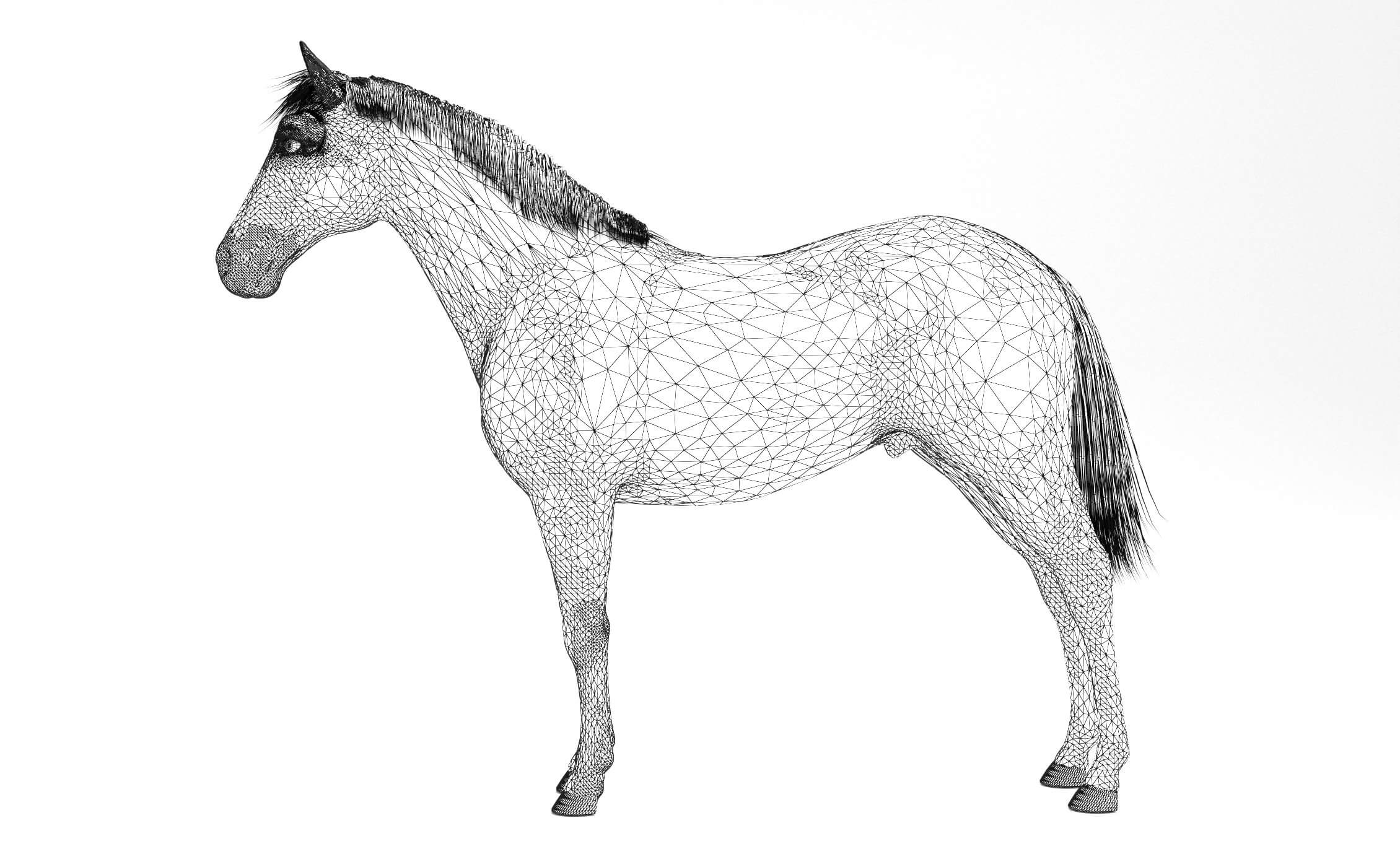 Brown Horse 3D Model by Pictorer