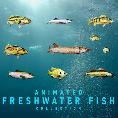 Animated Freshwater Fish