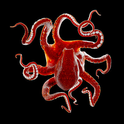 Animated Octopus