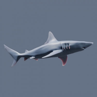 Blacktip Shark Figurine