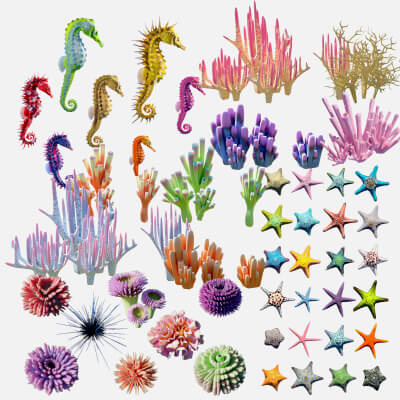 Coral Collection