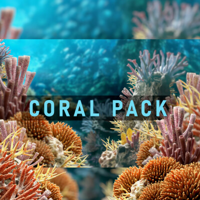 Low Poly Coral Pack