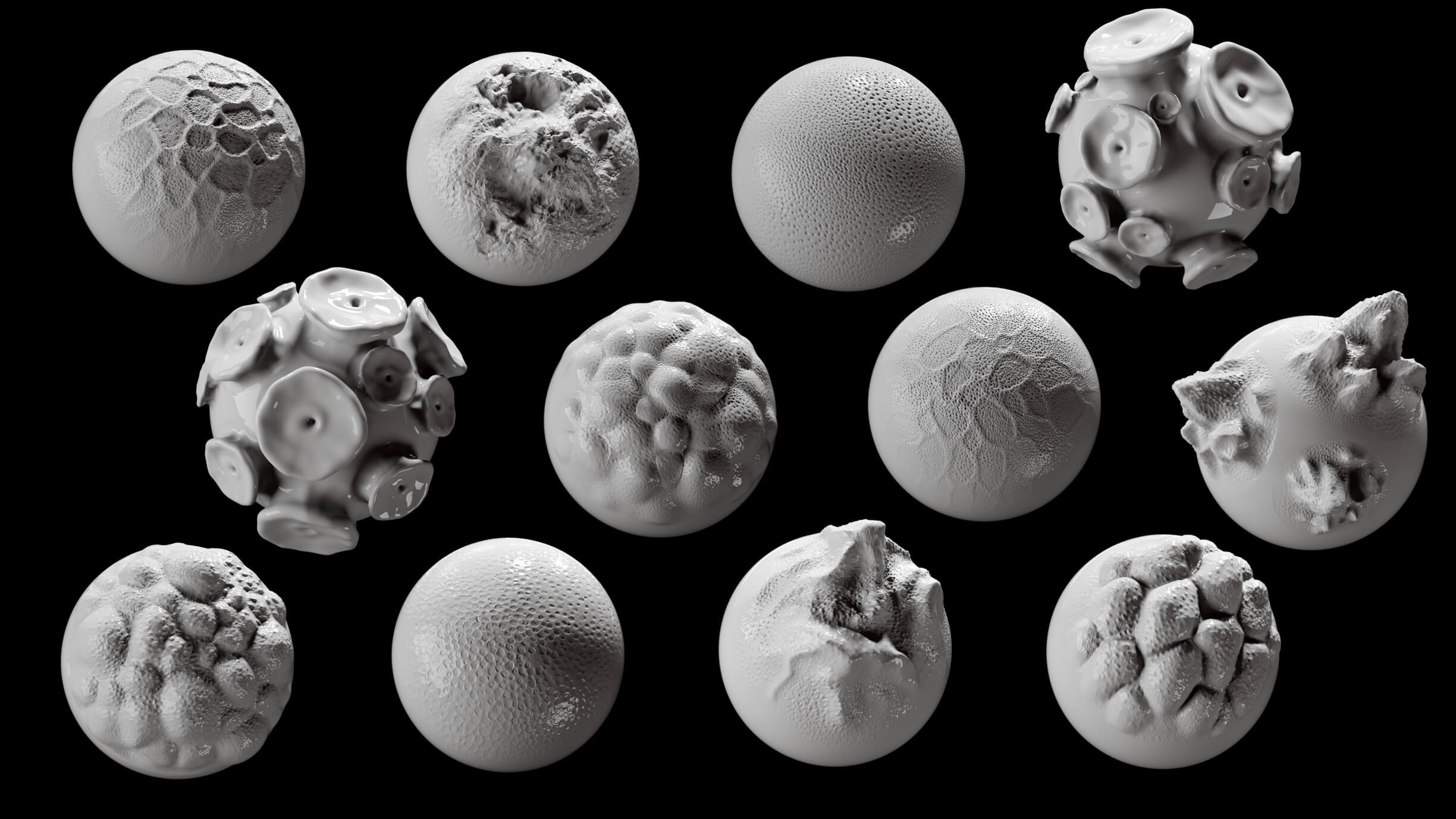Octopus Skin Microscope Octopus Skin Brush Pack by Pig Scales Studio