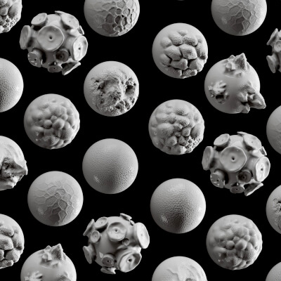 Octopus Skin Brush Pack