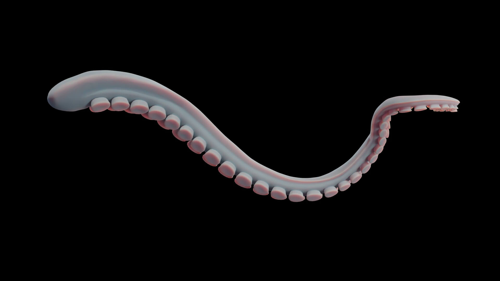 Rigged Tentacle - 3D Model by Pig Scales Studio