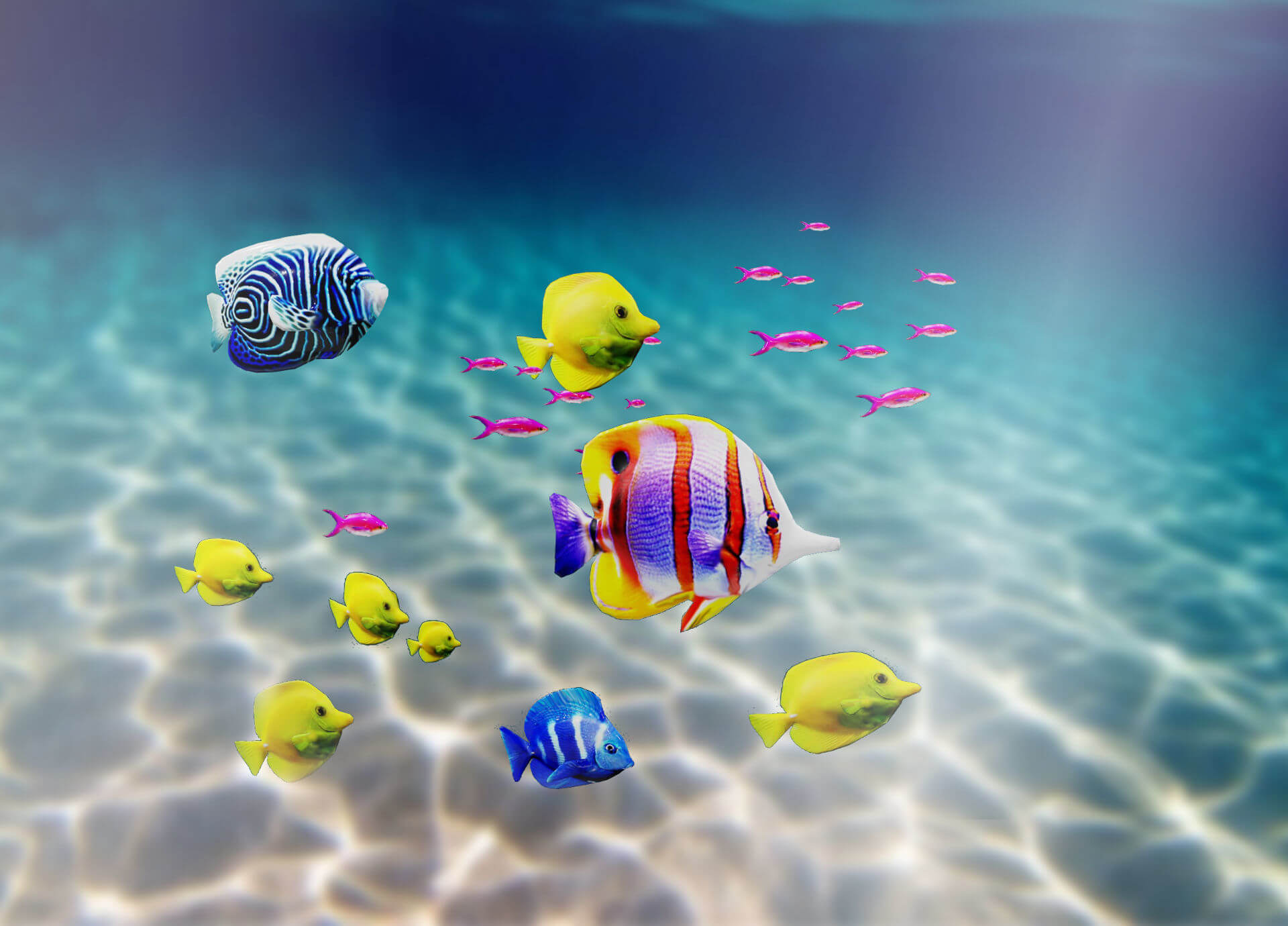 Tropical Fish Collection - 3D Model by Pig Scales Studio