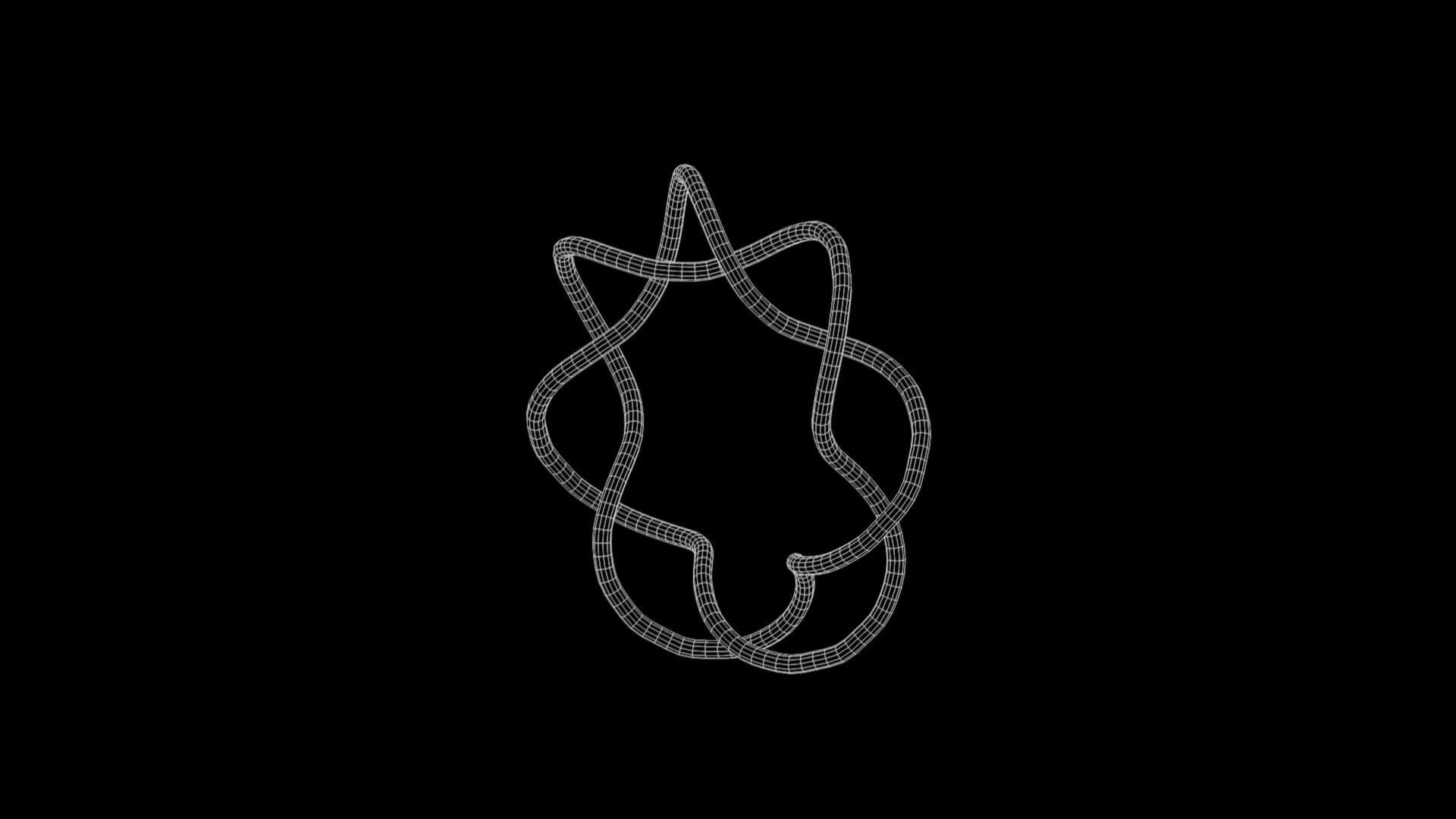 Tortoise Torus Javascript Torus Knot
