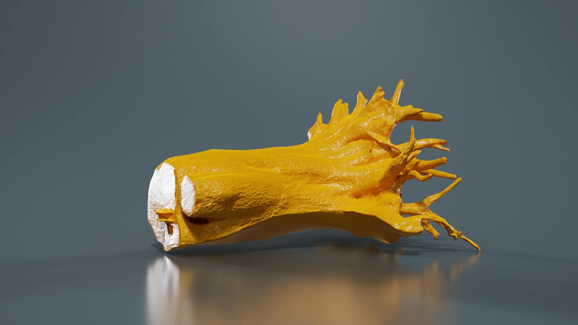 Fallen Tree Stump Roots - 3D Model by Polygonal Miniatures