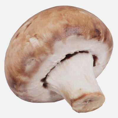 Mushroom Champignon