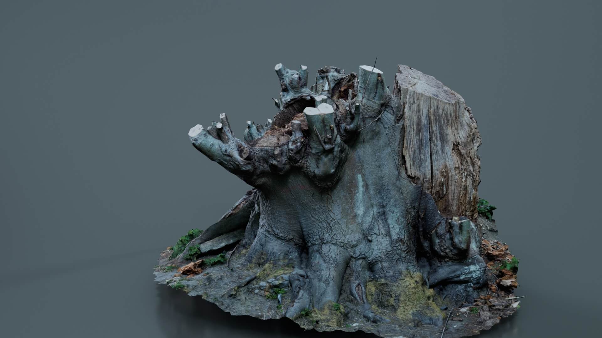 Sawed Off Tree Stump - 3D Model by Polygonal Miniatures