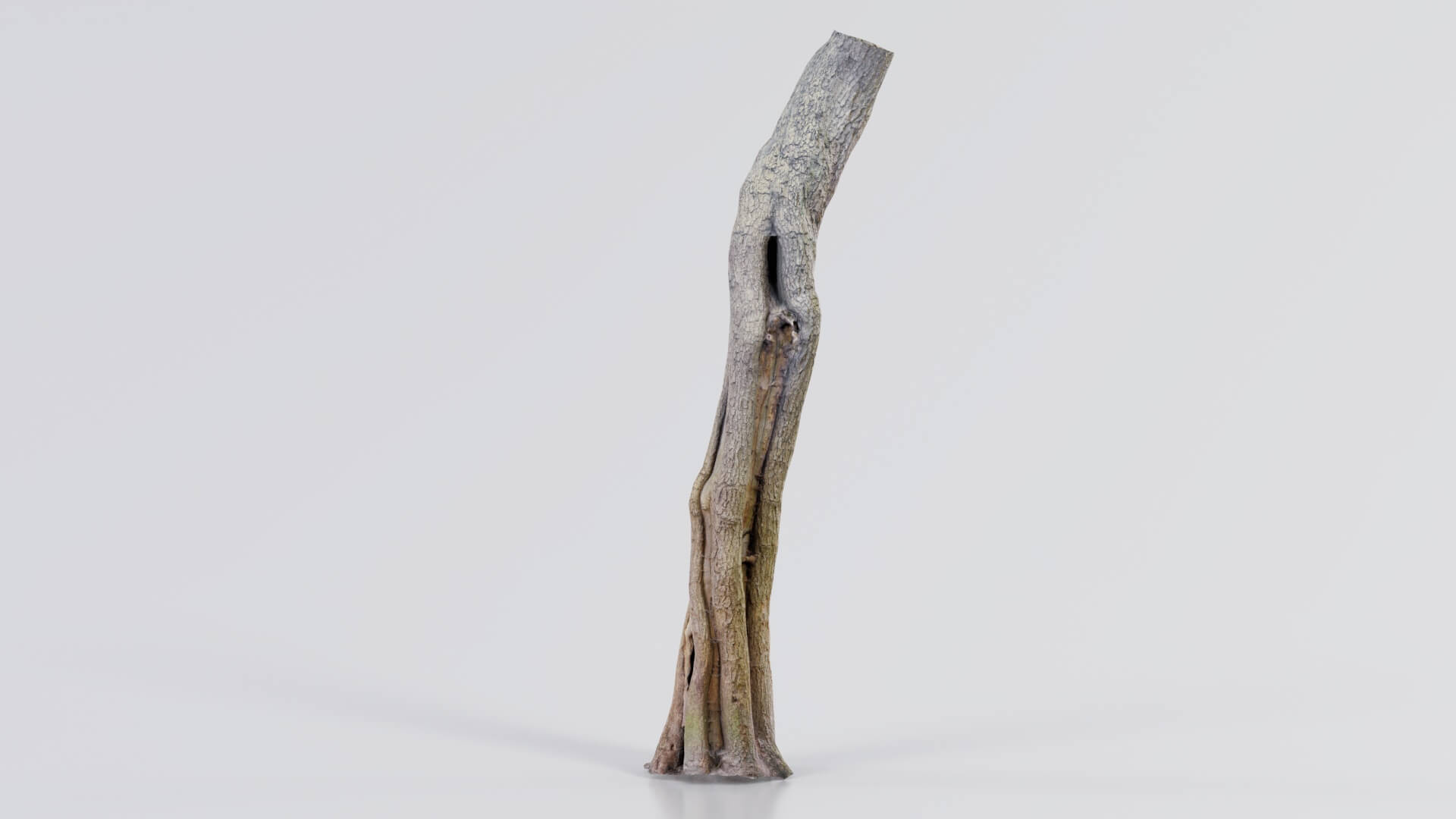 Slit Tree Trunk - 3D Model by Polygonal Miniatures