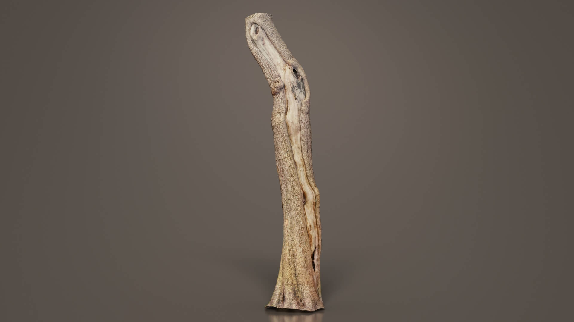 Slit Tree Trunk - 3D Model by Polygonal Miniatures