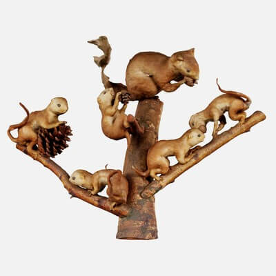 Squirrels on Branch