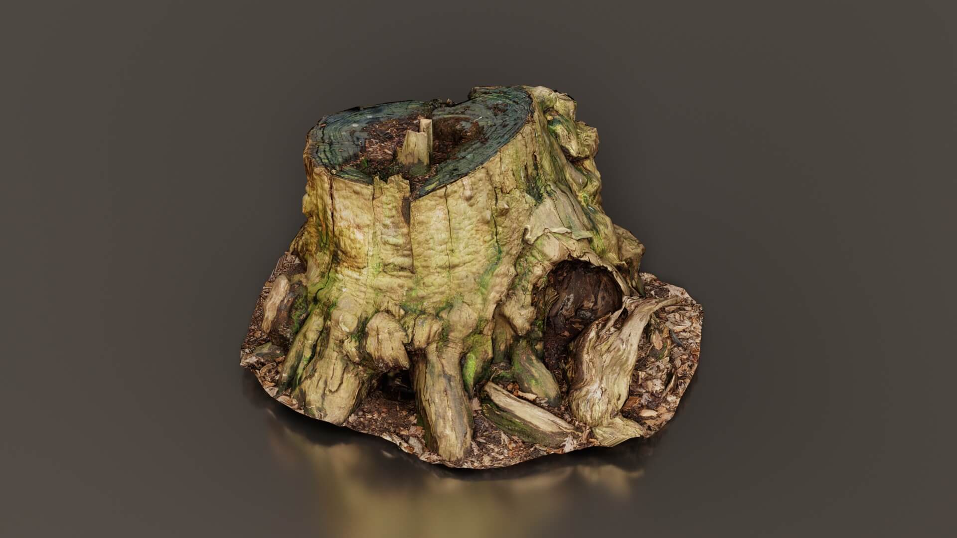 Tree Roots Wrapped Arch 3d Model Wide Tree Root Stump - 3D Model by Polygonal Miniatures