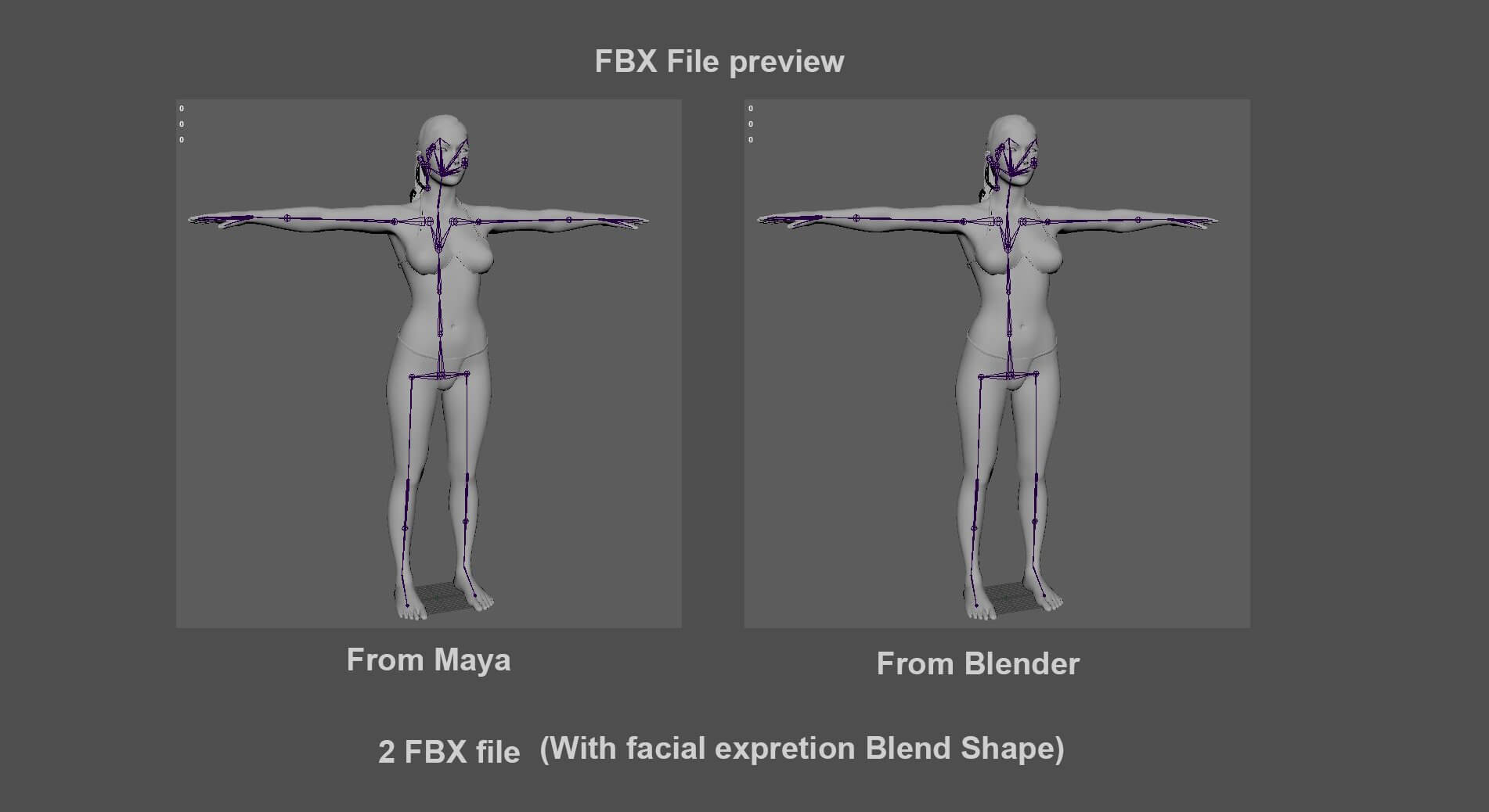 Female Base - 3D Model by Pradipta