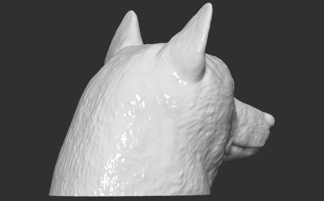 Doge Meme Shiba Inu Head - 3D Model by PrintedReality