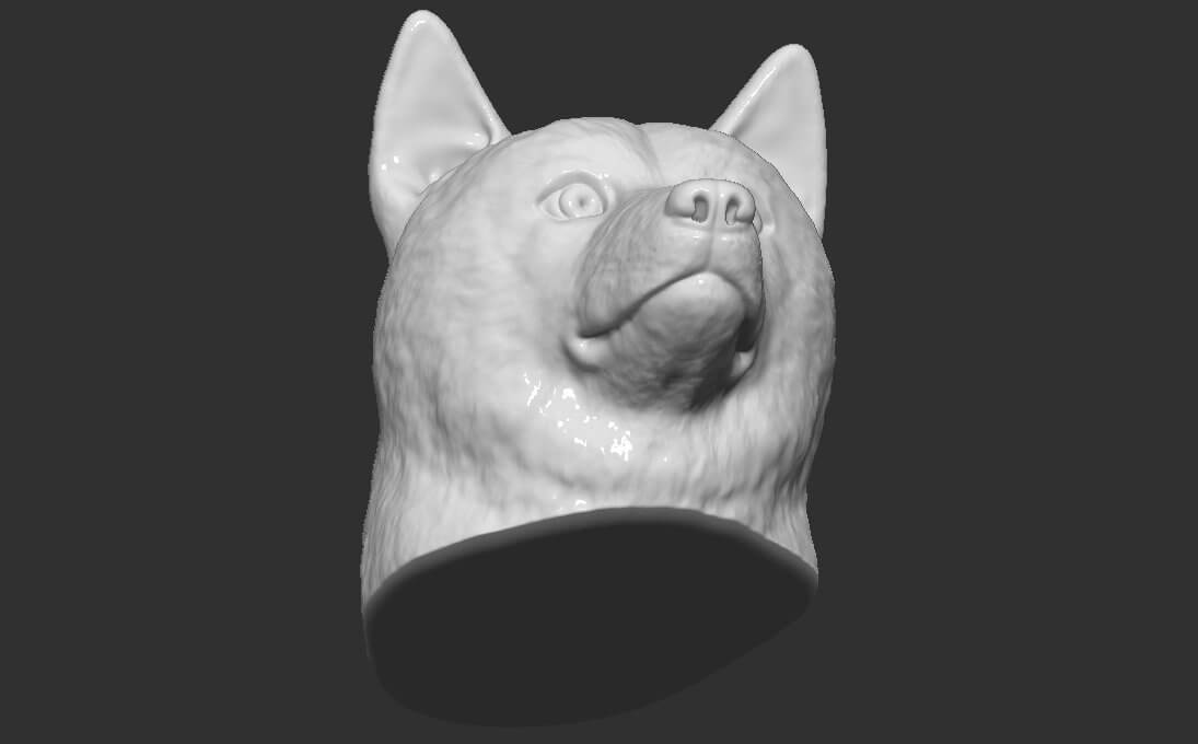 Doge Meme Shiba Inu Head - 3D Model by PrintedReality