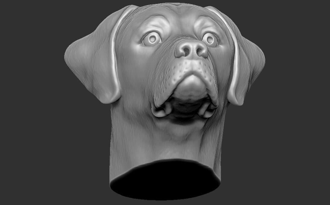 Labrador Head 3D Model by PrintedReality