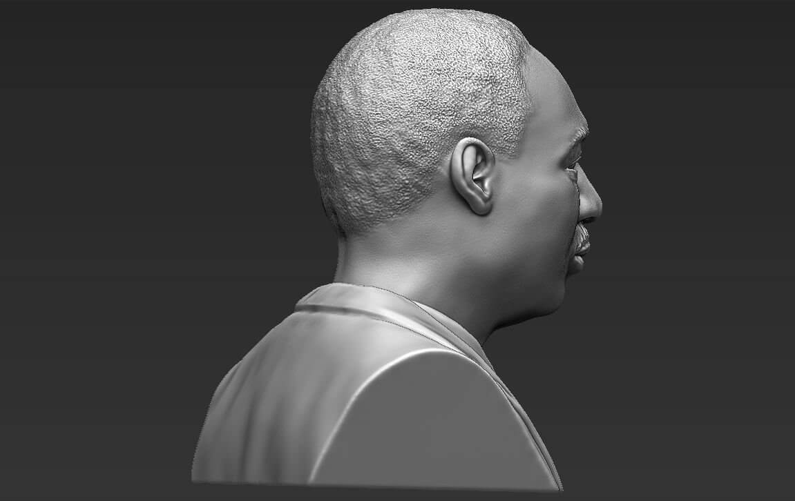 Martin Luther King Jr. Bust - 3D Model by PrintedReality