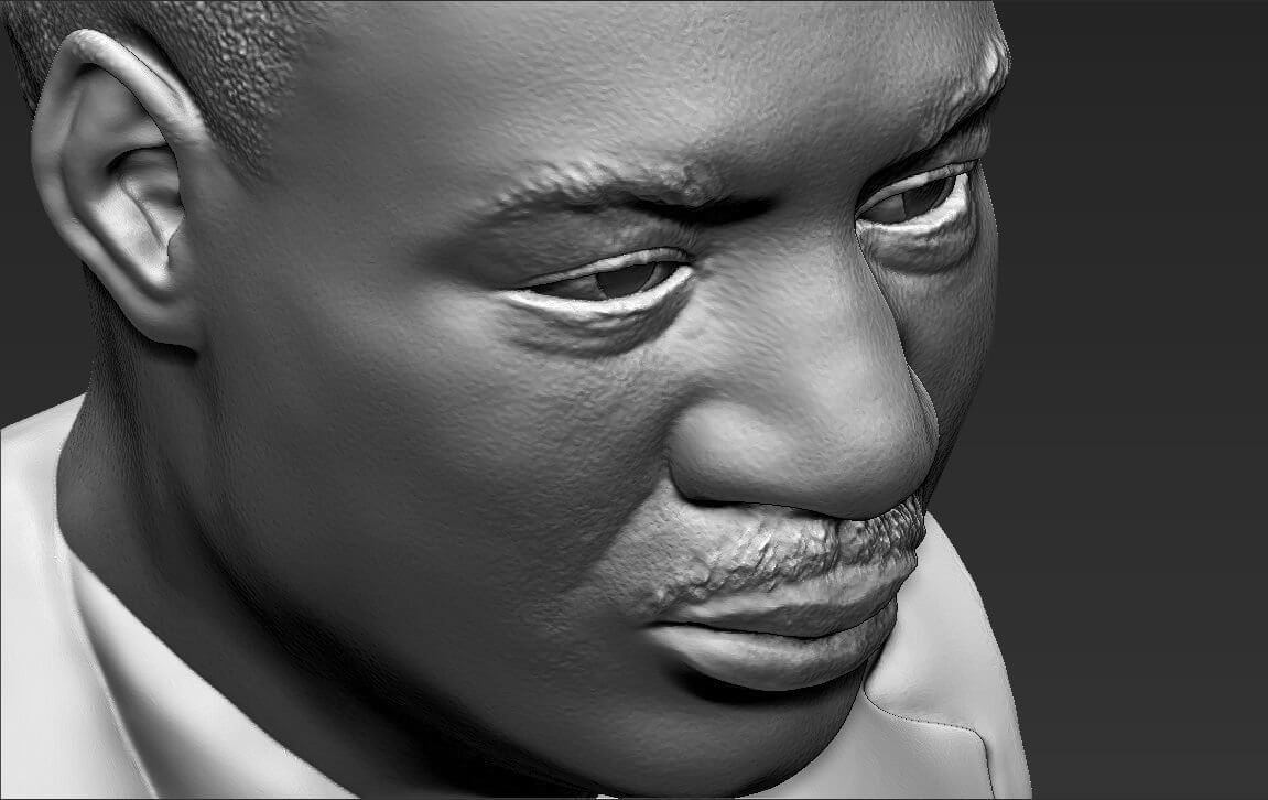 Martin Luther King Jr. Bust - 3D Model by PrintedReality