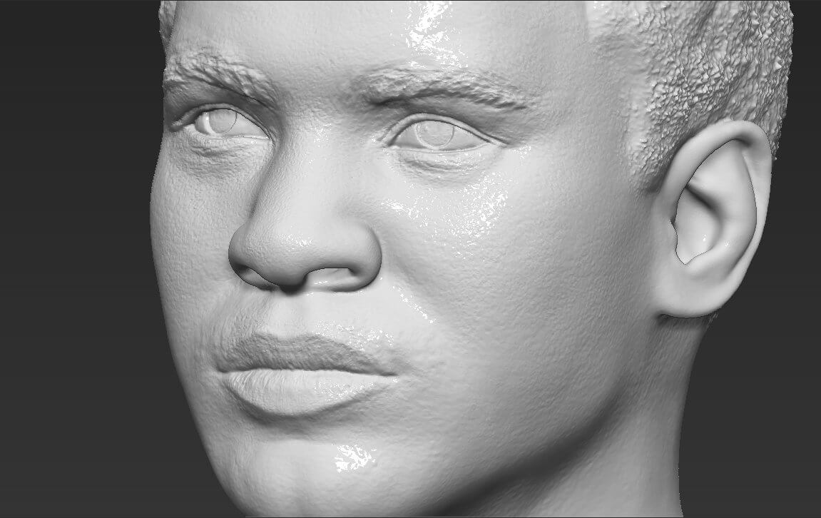 Muhammad Ali Bust - 3D Model by PrintedReality