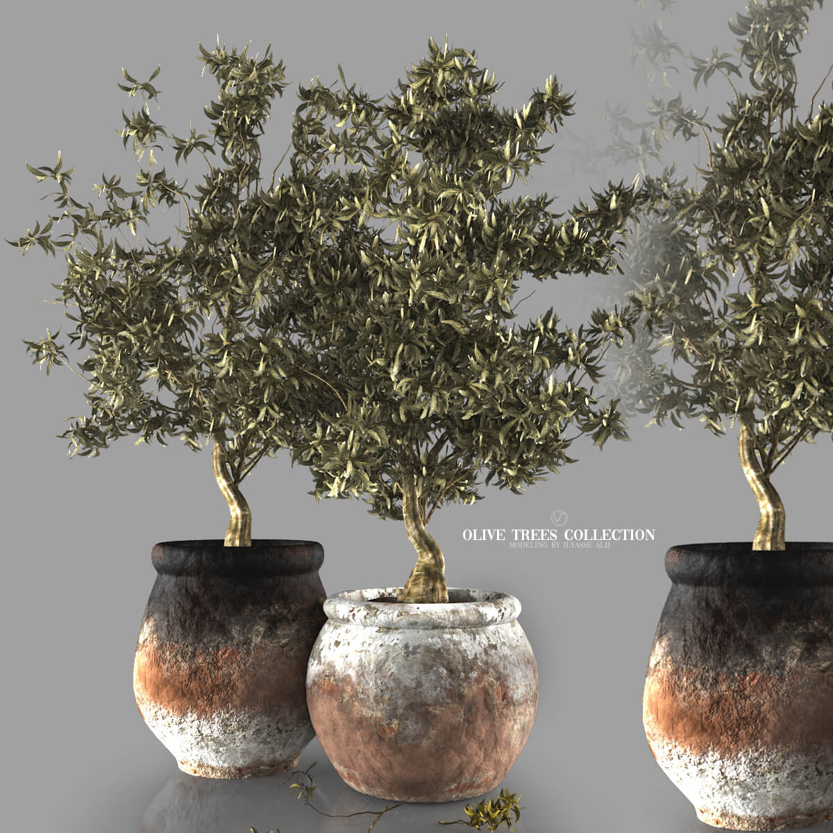 Olive Trees Collection - 3D Model by Proart1studio