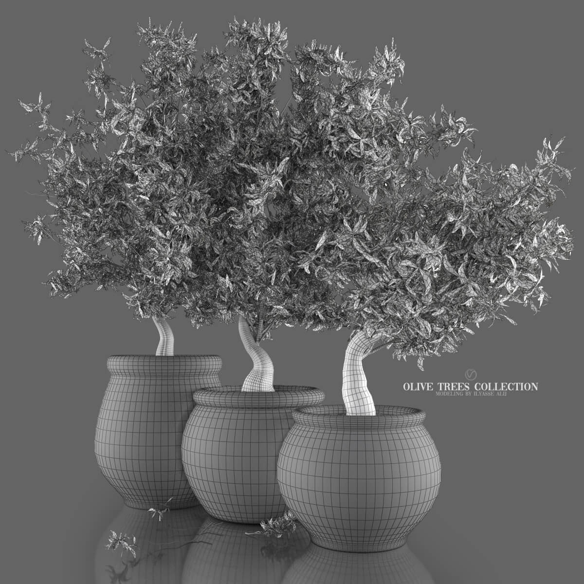 Olive Trees Collection - 3D Model by Proart1studio