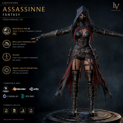 Sister 2 Hooded Assassin Rigged Female Rogue