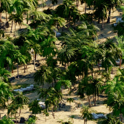 Palm Forest Living