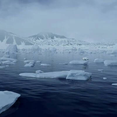 Polar Ice Pack