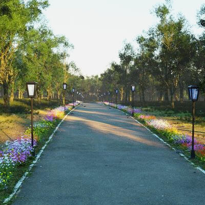 Tree-Lined Avenues