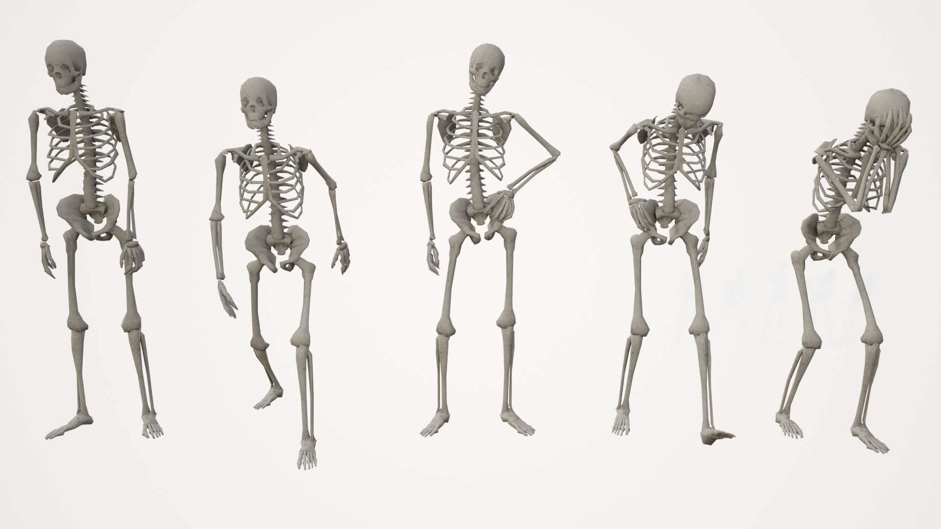 Скелет человека стоя. Модель скелета l001 181см скелет человека. Скелет 3d модель. Скелет человека строение костей. Анатомический атлас скелета человека.