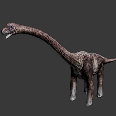 Brachiosaurus 3D Model