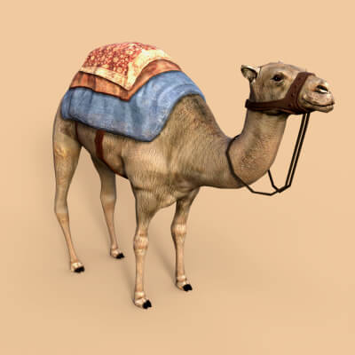 Camel Prop for DAZ Studio Free