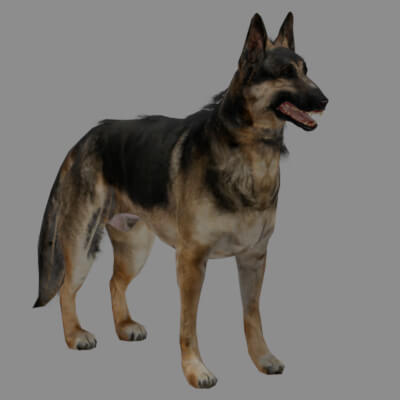 German Shepherd Dog 3D Free