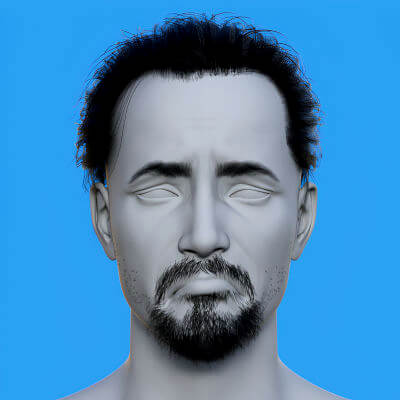 Japanese Hair Beard and Eyebrows Bundle for Genesis 8 Male