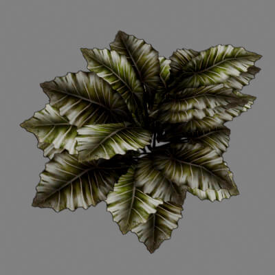 Jungle Bush 3D Model