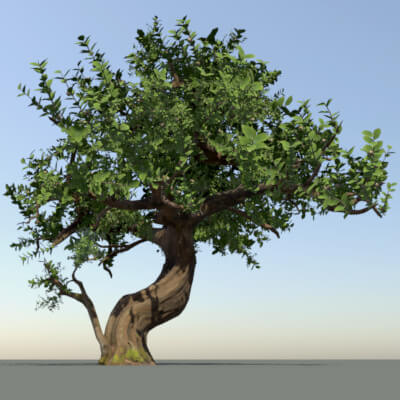 Stylized Apple Tree 3D Model