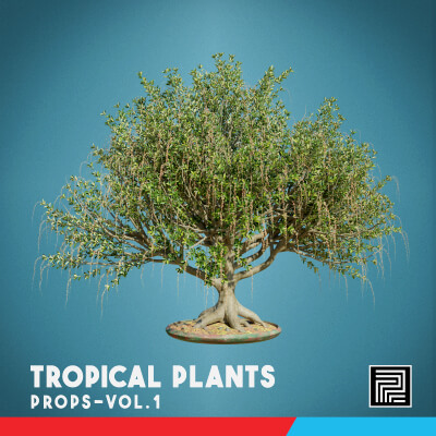 Tropical Plants Vol. 1