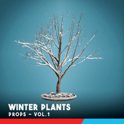 Winter Plants Vol. 1