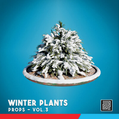 Winter Plants Vol. 3