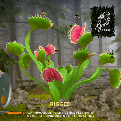 Carnivorous Plant Venus Flytrap - 3D Model by renatodalle