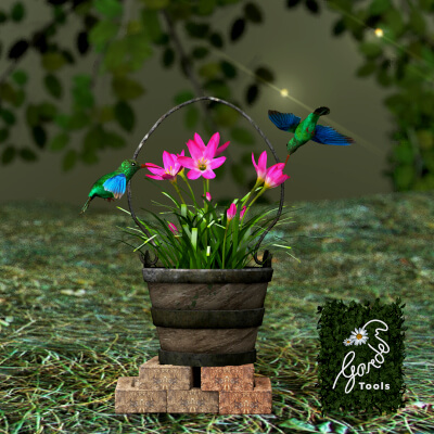 Flower - Pink Nature